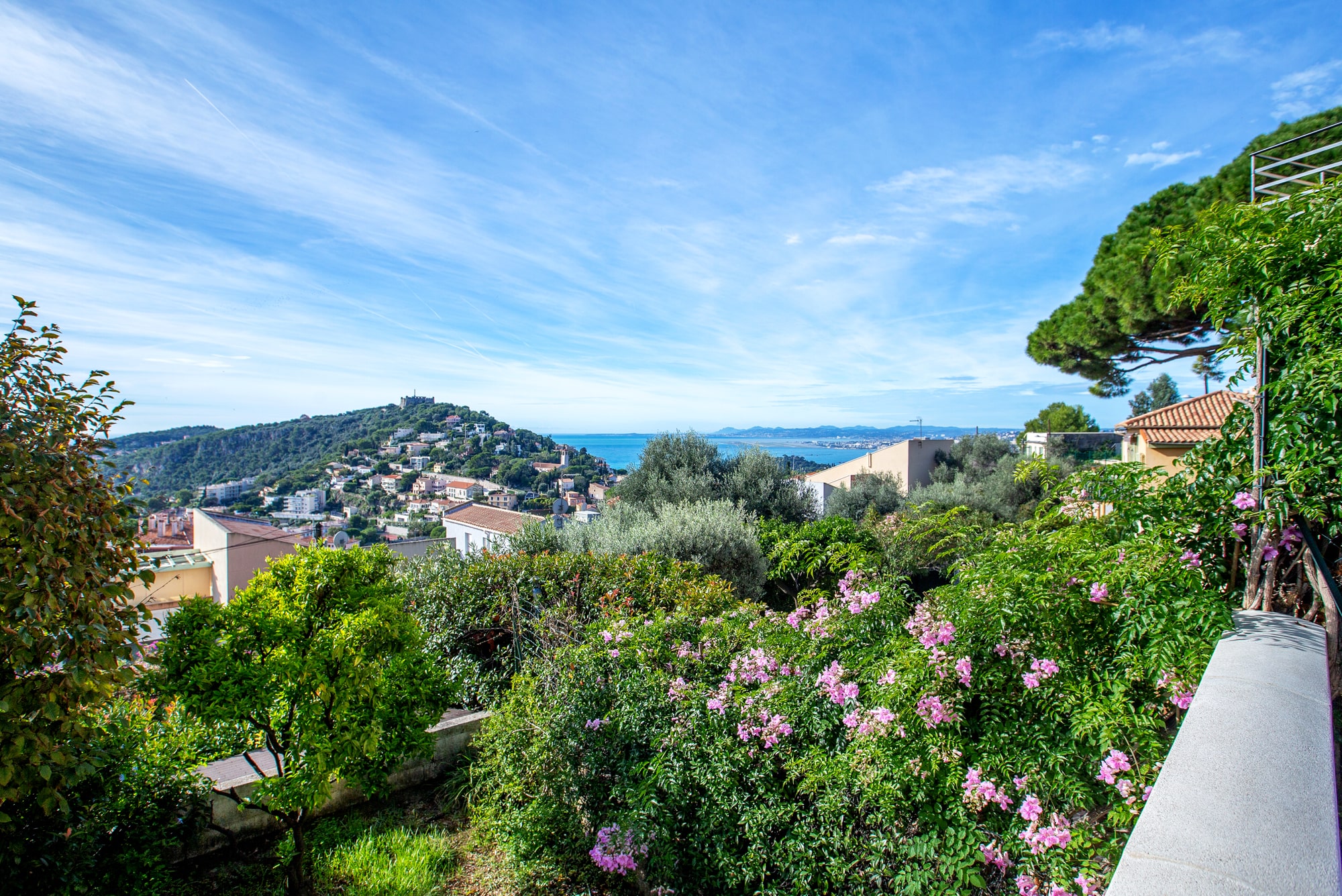 Vue depuis la terrasse