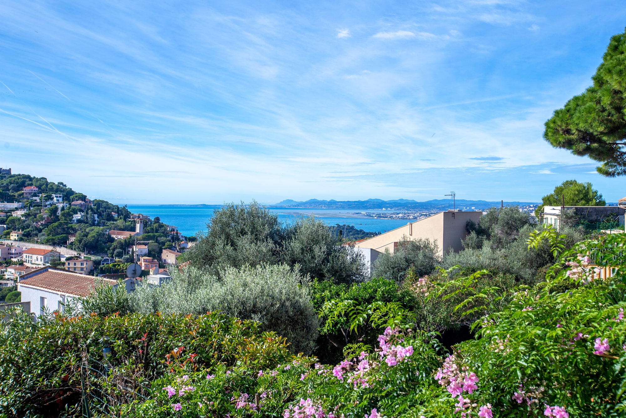 Vue depuis la terrasse